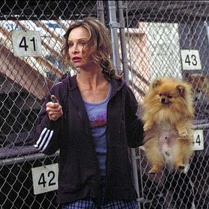 Foto El último golpe (The last shot)