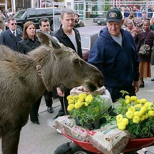Foto Bienvenido a Mooseport