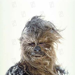 Foto Peter Mayhew