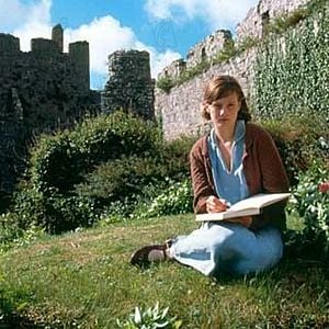 Foto El castillo soñado