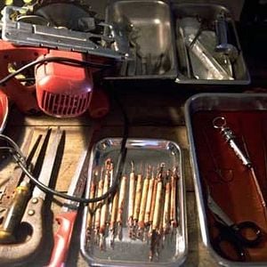 Foto White Noise: Más allá