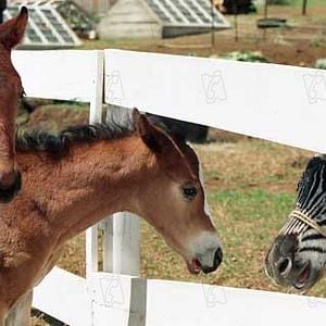 Foto Frederik Du Chau