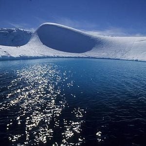 Foto El viaje del emperador