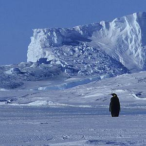 Foto El viaje del emperador