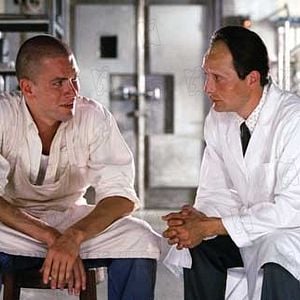 Foto Los carniceros verdes