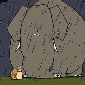 Foto Cécilia Marreiros Marum