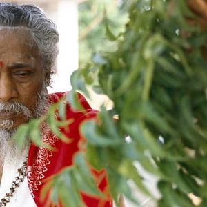 Foto Ayurveda: El Arte de Vivir