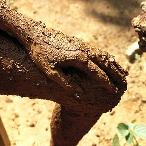 Foto Ayurveda: El Arte de Vivir