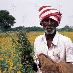 Foto Ayurveda: El Arte de Vivir