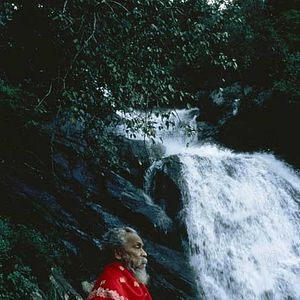 Foto Ayurveda: El Arte de Vivir