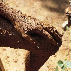 Foto Ayurveda: El Arte de Vivir