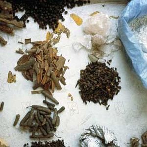 Foto Ayurveda: El Arte de Vivir