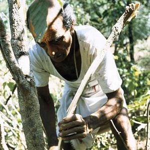 Foto Ayurveda: El Arte de Vivir