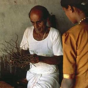 Foto Ayurveda: El Arte de Vivir