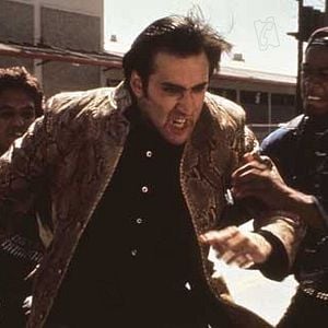 Foto Corazón salvaje