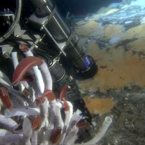 Foto Misterios del océano