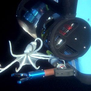 Foto Misterios del océano