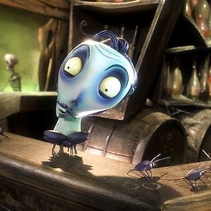 Foto La novia cadáver