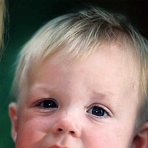 Foto Un canguro superduro