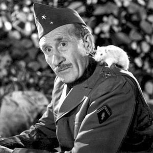 Foto Noël Roquevert