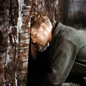 Foto Feliz Navidad, Mr. Lawrence