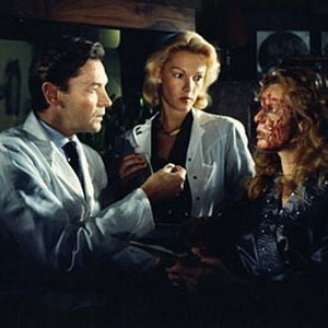 Foto Los depredadores de la noche