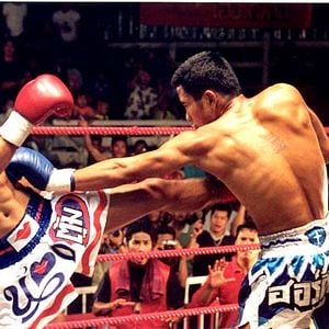 Foto Beautiful boxer