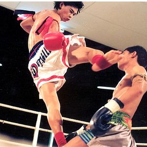 Foto Beautiful boxer