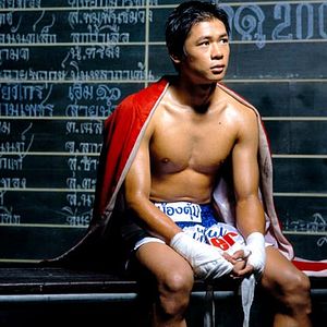 Foto Beautiful boxer