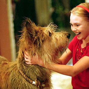 Foto AnnaSophia Robb