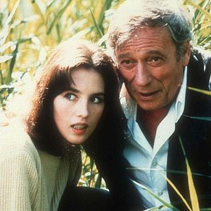 Foto Tout feu tout flamme