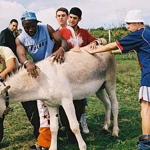 Foto Jóvenes oportunidades