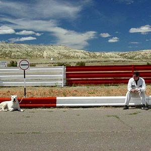 Foto Bombón, el perro