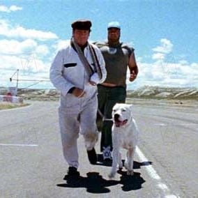 Foto Bombón, el perro