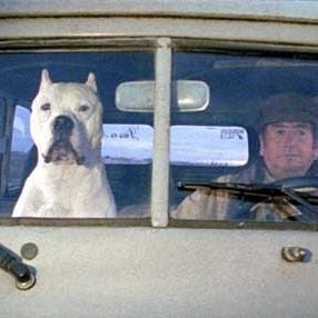 Foto Bombón, el perro