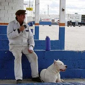 Foto Bombón, el perro