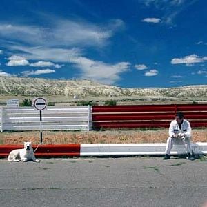 Foto Bombón, el perro