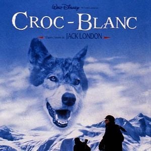 Colmillo Blanco - Película 1991 - SensaCine.com