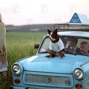 Foto Everything Is Illuminated (Todo está iluminado)