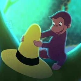 Foto Jorge el curioso