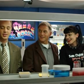 Foto Pauley Perrette