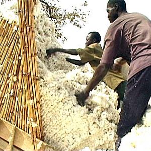 Foto Olivier Zuchuat