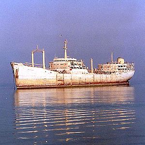 Foto Mohammad Rasoulof