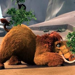 Foto Carlos Saldanha