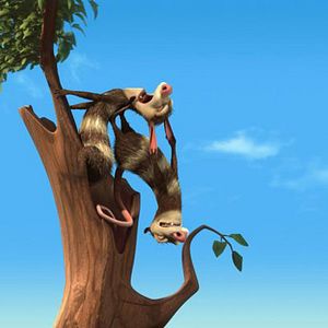 Foto Carlos Saldanha