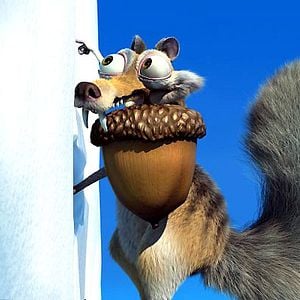 Foto Carlos Saldanha