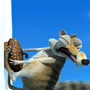 Foto Carlos Saldanha