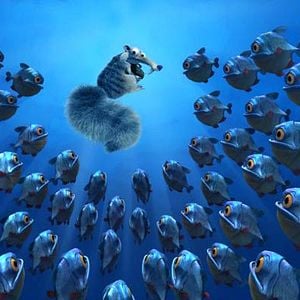 Foto Carlos Saldanha