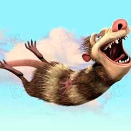 Foto Carlos Saldanha