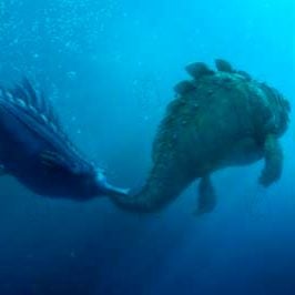 Foto Carlos Saldanha